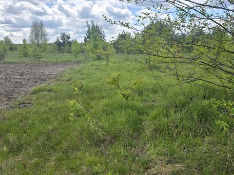участок по адресу Вишпільська