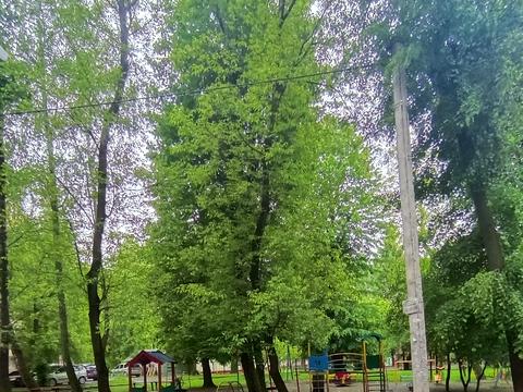 квартира за адресою Тернопільська вул., 3