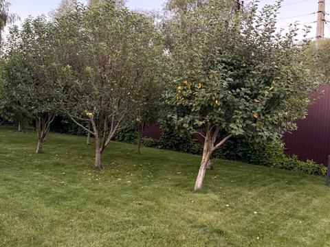 будинок за адресою Центральна вул.