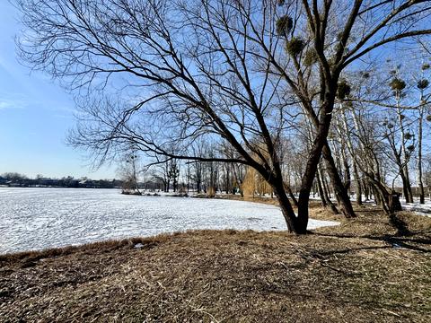участок по адресу Городня