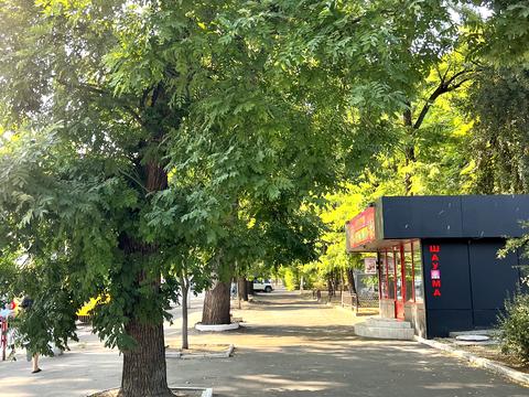 комерційна за адресою Шевченка просп., 7а