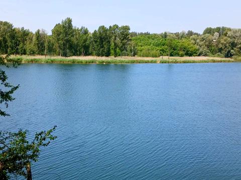 дом по адресу Яблоньская ул. (Кирова), 20 А