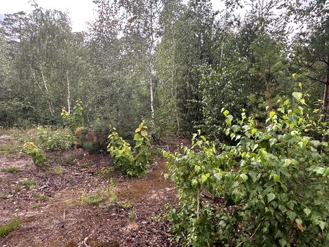 ділянка за адресою 10-та Лінія вул.