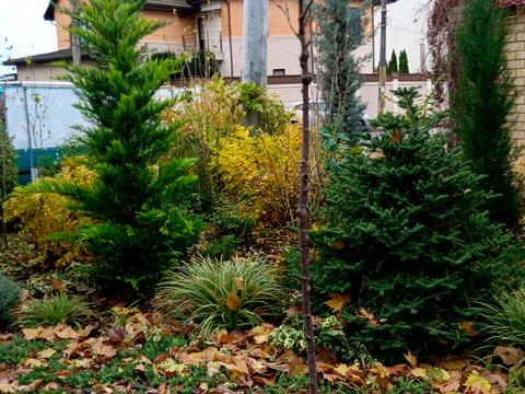 квартира за адресою Дачна вул., 28