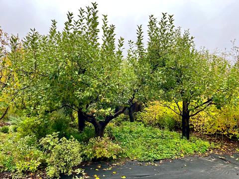 дом по адресу Підлісна, 123-А