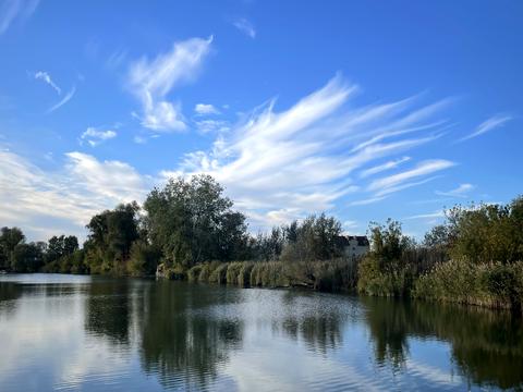 будинок за адресою Франка, 18