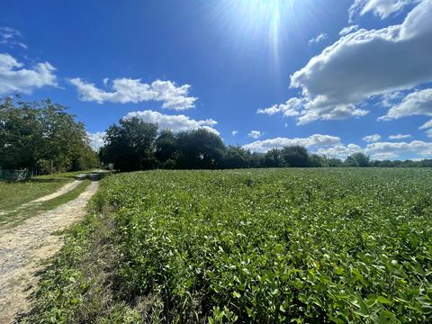 ділянка за адресою Шкільна