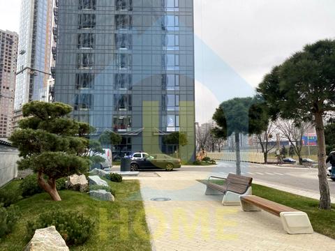 квартира по адресу Академика Заболотного ул., 1-Б