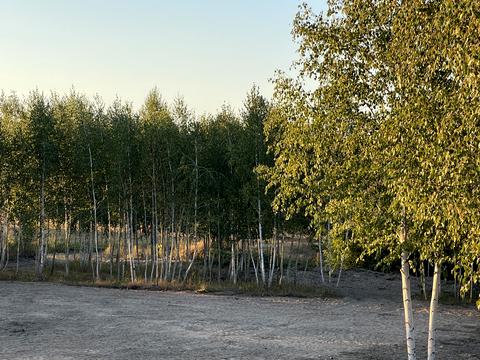 участок по адресу Черешневая ул.