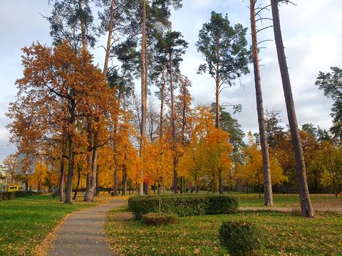 ділянка за адресою Мрії вул.