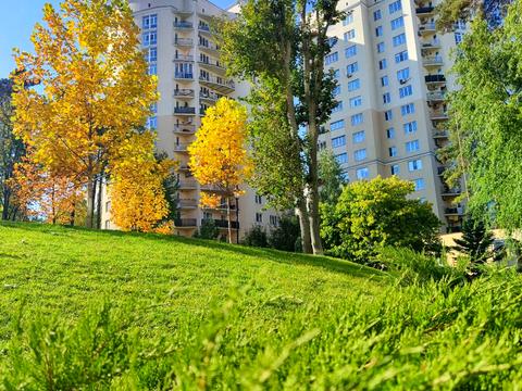 квартира за адресою Валерія Лобановського вул., 18