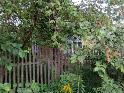 ділянка за адресою Найкраща вул. (Ломоносова), 22