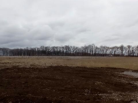ділянка за адресою Вишиванна