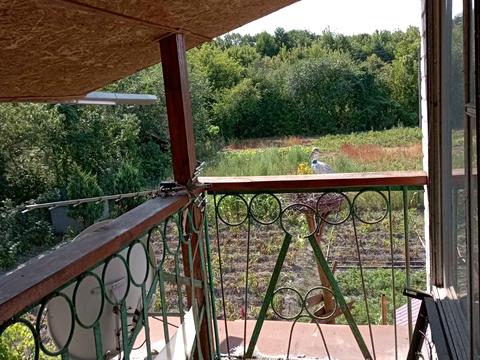 будинок за адресою с. Хвильово-Сорочин, Перемоги