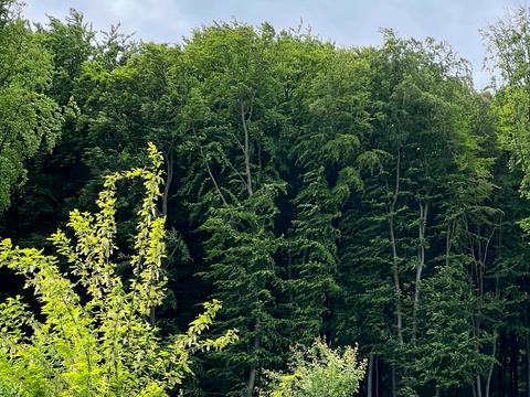 будинок за адресою Винники, Галицька вул.