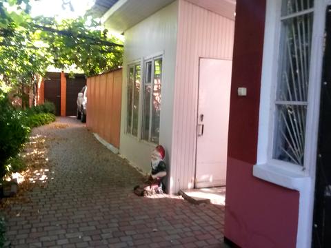 участок по адресу Дача Ковалевского ул.