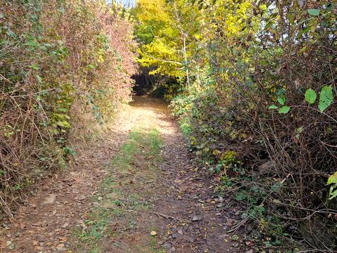 будинок за адресою с. Анталовці, Борканюка