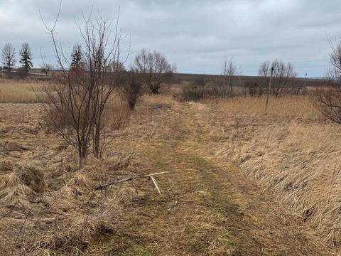 ділянка за адресою Шкільна