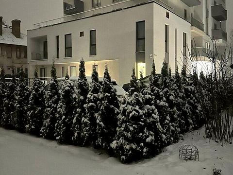 квартира за адресою Героїв Крут вул., 9а