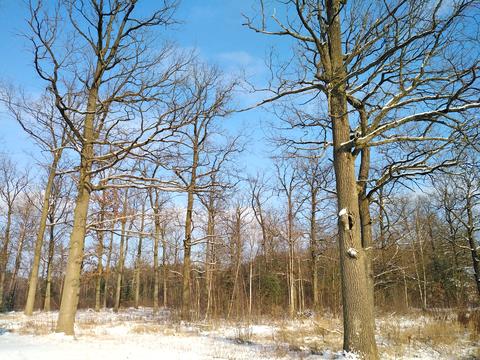 будинок за адресою Дениши