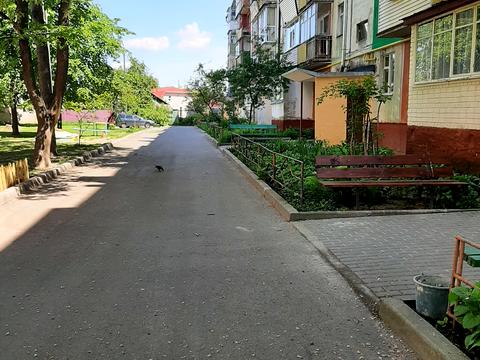 квартира за адресою Казацкая, 42