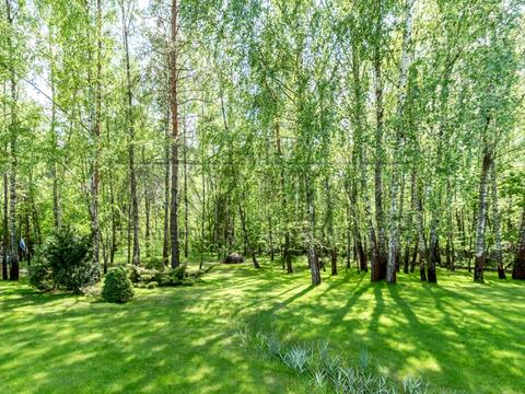 будинок за адресою с. Капітанівка, Капітанівка
