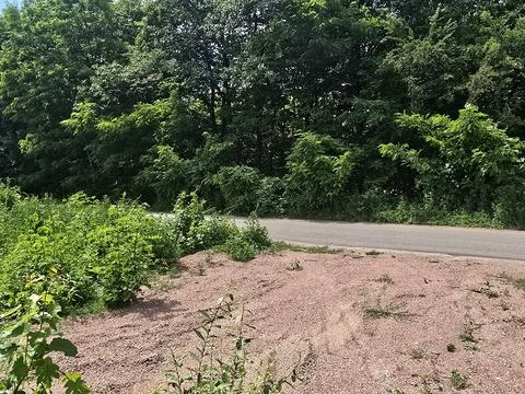участок по адресу Світинська ул.