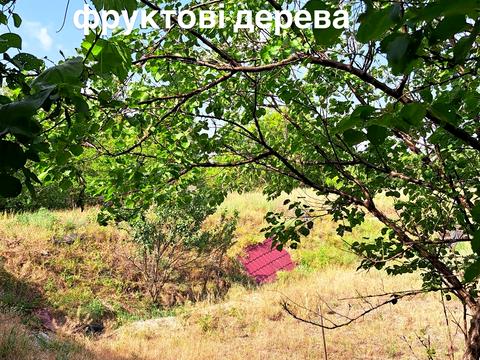 дом по адресу Эрлиха ул. (Карла Либкнехта), 31