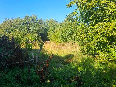 ділянка за адресою Новокиївська вул.