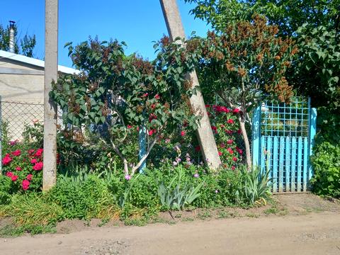 дом по адресу Центральна