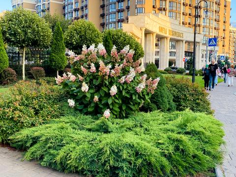 квартира за адресою Мартинова просп., 24