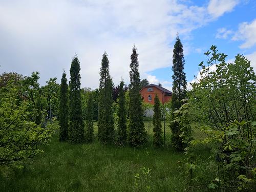 будинок за адресою с. Дмитрівка, Озерна