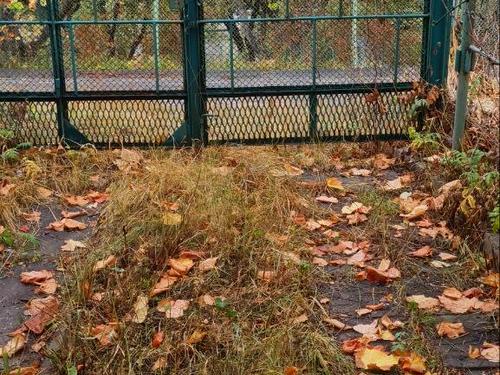 дом по адресу Східна
