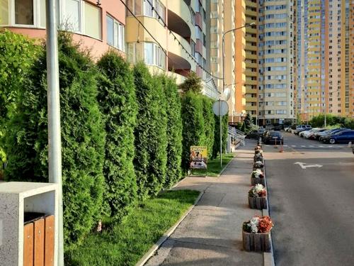 квартира по адресу Семьи Кульженков ул. (Дегтяренко Петра), 37