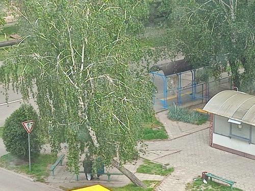квартира за адресою Олімпійська вул., 2-А