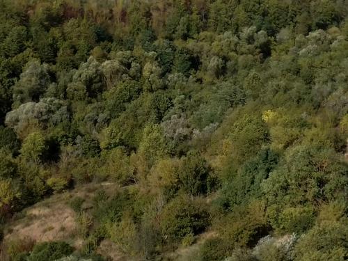 коммерческая по адресу Голосківська ул., 20