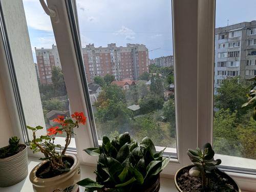 квартира за адресою Юліана Целевича вул., 10/3