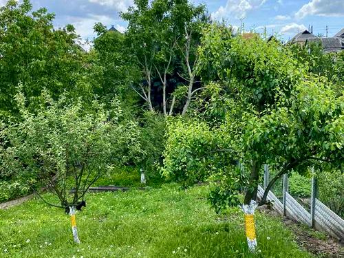 будинок за адресою Катерини Білокур вул. (Берінга)