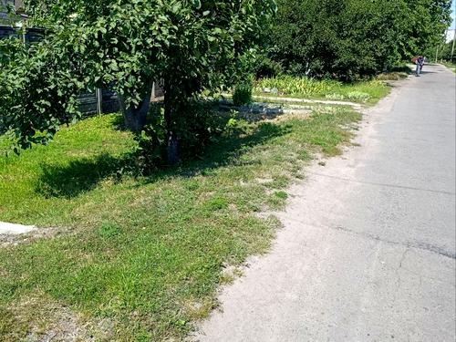 будинок за адресою Різдвяна вул.