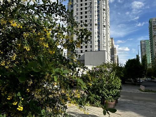 квартира по адресу Дмитра Чижевського ул. (Петра Чаадаева), 2