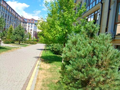 квартира по адресу Дача Ковалевского ул., 121 к1