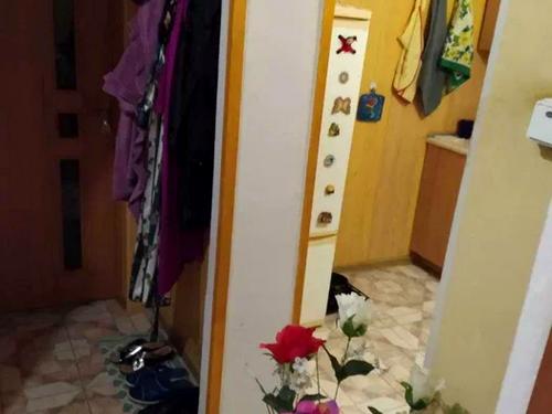 квартира за адресою Зелена вул., 56