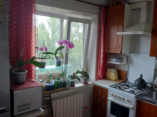 квартира по адресу Зодчих ул., 36