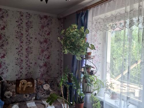 квартира за адресою Незалежності вул. (Космонавта Попова), 20