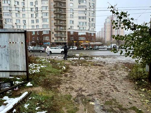 участок по адресу Степана Рудницкого ул. (Вильямса академика), 12