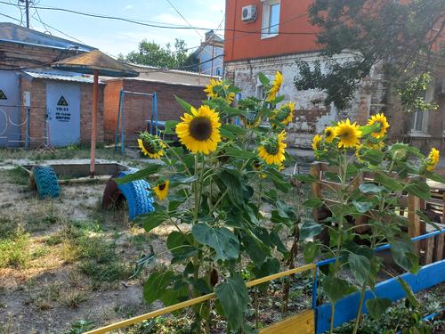 квартира за адресою Шульгіних вул., 32