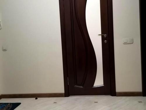 квартира за адресою Практична вул., 1
