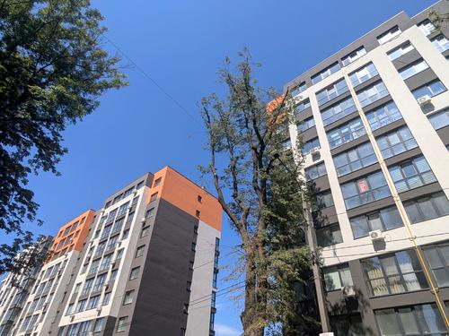 квартира по адресу Национальной Гвардии ул., 3