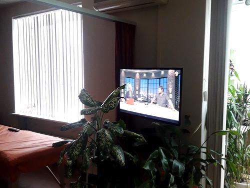 квартира за адресою Анни Ахматової вул., 16-Б
