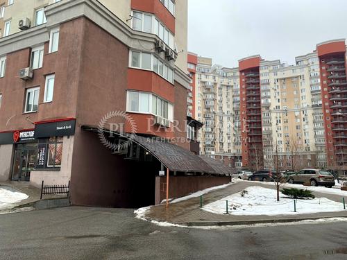 комерційна за адресою Степана Рудницького вул. (Академіка Вільямса), 3/7